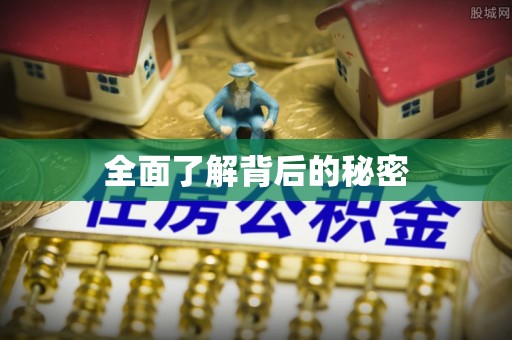 惠民全面了解背后的秘密