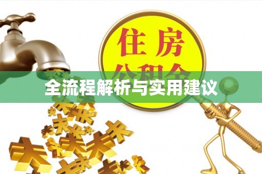 惠民全流程解析与实用建议