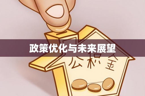 惠民政策优化与未来展望