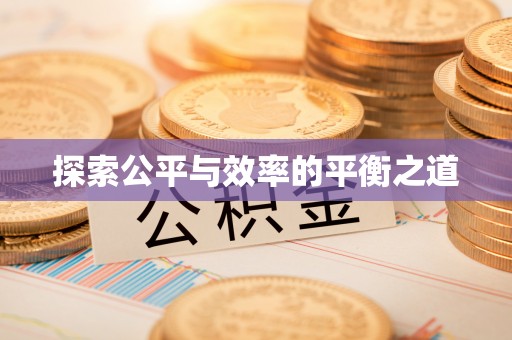 惠民探索公平与效率的平衡之道